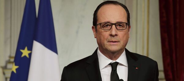 رئیس جمهور فرانسه فرانسوا اولاند رئیس جمهور فرانسه فرانسوا اولاند - اسپوتنیک ایران