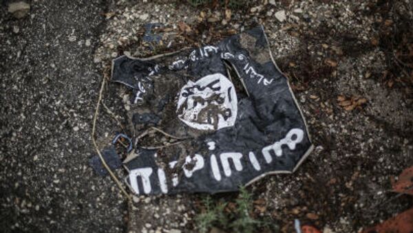 مرد شماره دو داعش در عراق کشته شد - اسپوتنیک ایران  