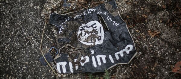 حشد الشعبی عناصر داعش در جنوب سامرا را خنثی کرد حشد الشعبی عناصر داعش در جنوب سامرا را خنثی کرد - اسپوتنیک ایران