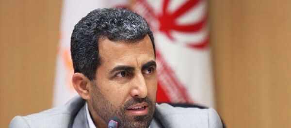 محمد رضا پور ابراهیمی نماینده مجلس شورای اسلامی - اسپوتنیک ایران  