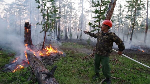 جنگل های سیبری گرفتار در آغوش سوزان آتش
یاکوتیا - اسپوتنیک ایران  