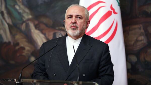 واکنش ظریف به اظهارات برجامی وزیر خارجه آلمان - اسپوتنیک ایران  