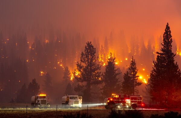 رویدادهای هفته‌ای که گذشت
آتش‌سوزی جنگلی در کالیفرنیا - اسپوتنیک ایران  