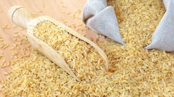 برنج - اسپوتنیک ایران  