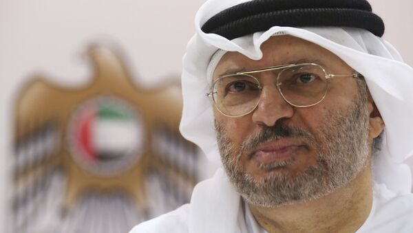 وزیر اماراتی ایران را به مداخله در امور کشورهای عربی خلیج فارس متهم کرد - اسپوتنیک ایران  