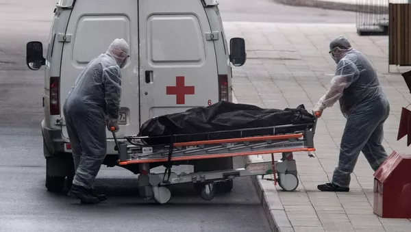 برادر قاضی ‌منصوری: هیچ چیز جسد به برادرمان نمی‌خورد

 - اسپوتنیک ایران  