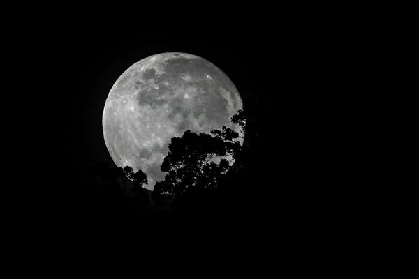 قرص کامل ماه
در آسمان کلمبیا - اسپوتنیک ایران  