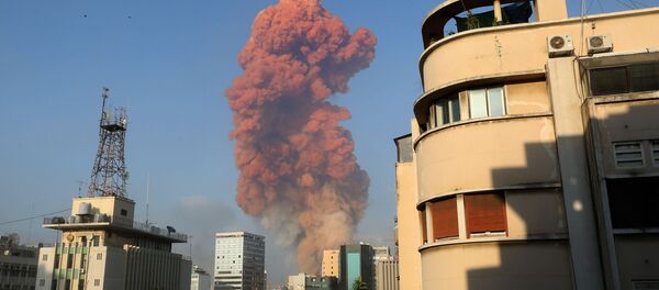 جزئیات جنجالی از عامل انفجار بزرگ بیروت جزئیات جنجالی از عامل انفجار بزرگ بیروت - اسپوتنیک ایران