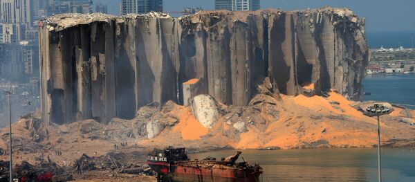 وزیر محیط زیست لبنان از سمت خود استعفا داد وزیر محیط زیست لبنان از سمت خود استعفا داد - اسپوتنیک ایران