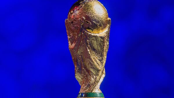وعده مقامات ایرانی برای آوردن کاپ جام جهانی به جزیره کیش - اسپوتنیک ایران  