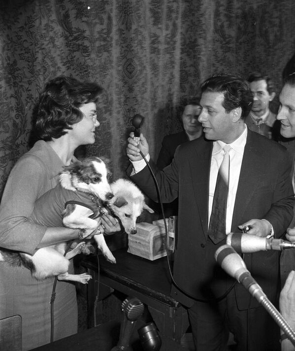 بلکا و استرلکا، سگ های فضانورد شوروی در آغوش خبرنگار رادیو مسکو در سال 1960  - اسپوتنیک ایران  