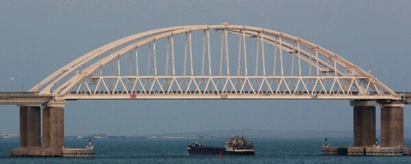 رسانه: ترکیه میادین گازی در دریای سیاه کشف کرد - اسپوتنیک ایران  