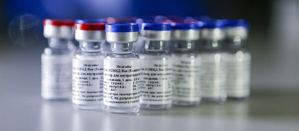 ترکیه گزارش های مربوط به خودداری از خرید واکسن روسی کرونا را تکذیب می‌کند - اسپوتنیک ایران  