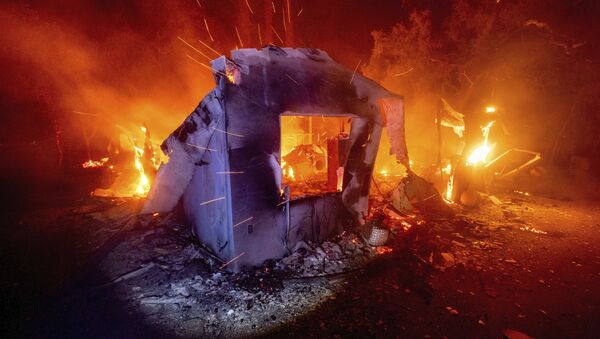 خانه آتش گرفته در آتش‌سوزی جنگلی کالیفرنیا - اسپوتنیک ایران  