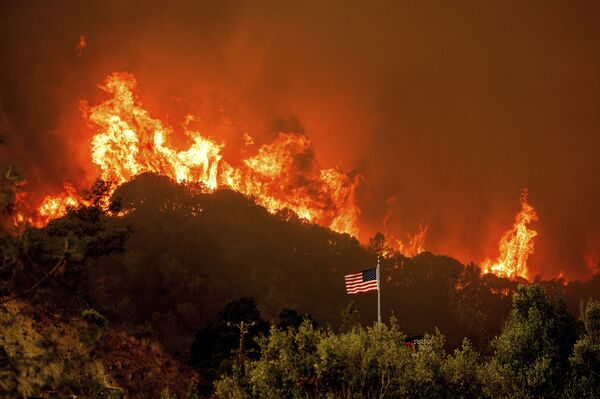 آتش سوزی جنگلی در کالیفرنیا - اسپوتنیک ایران  