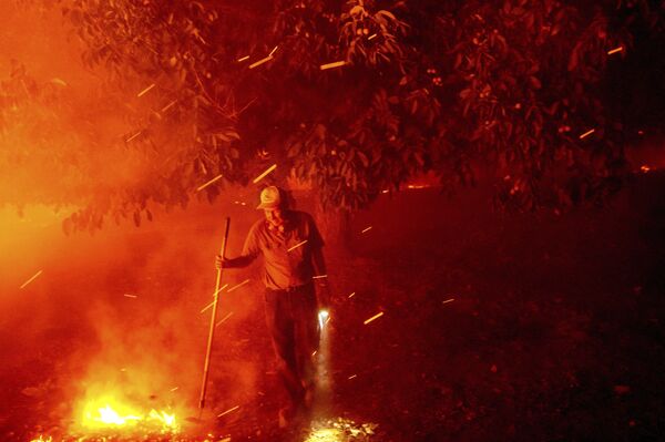 تلاش بیل نیکولس 84 ساله برای نجات خانه خود از آتش سوزی - اسپوتنیک ایران  