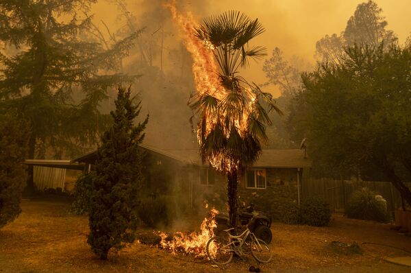 آتش سوزی در ناپا، کالیفرنیا - اسپوتنیک ایران  