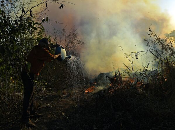 یک کشاورز در خال خاموش کردن آتش در جنگلی در آمازون، برزیل - اسپوتنیک ایران  
