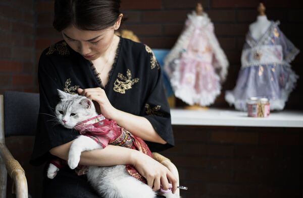 مد لباس گربه‌ای  
ووهان چین - اسپوتنیک ایران  