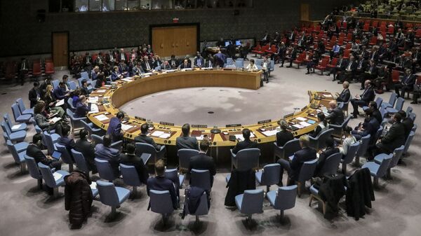 درخواست آمریکا برای تعویق نشست سازمان ملل با موضوع فلسطین و اسرائیل - اسپوتنیک ایران  