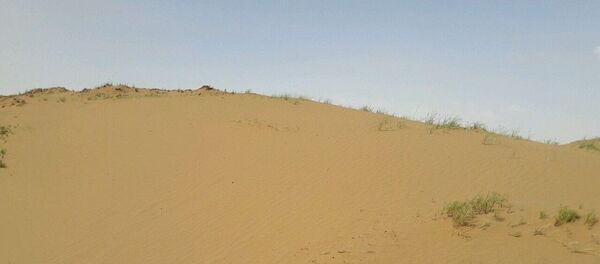 هشدار درباره خطر بیابانی شدن اراضی پهناوری در ایران هشدار درباره خطر بیابانی شدن اراضی پهناوری در ایران - اسپوتنیک ایران