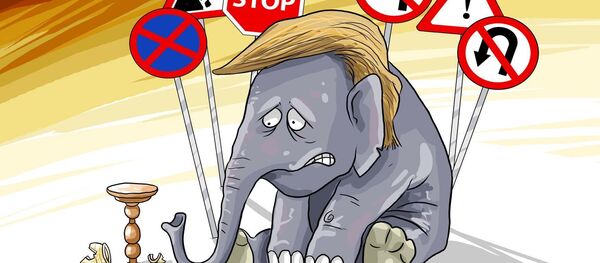  لاوروف: رفتار آمریکا با ایران درباره برجام شبیه به رفتار فیلی در مغازه ظروف شکستنی است  - اسپوتنیک ایران  