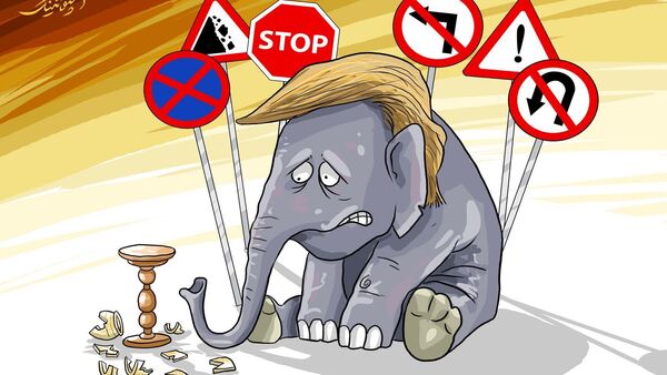  لاوروف: رفتار آمریکا با ایران درباره برجام شبیه به رفتار فیلی در مغازه ظروف شکستنی است  - اسپوتنیک ایران  