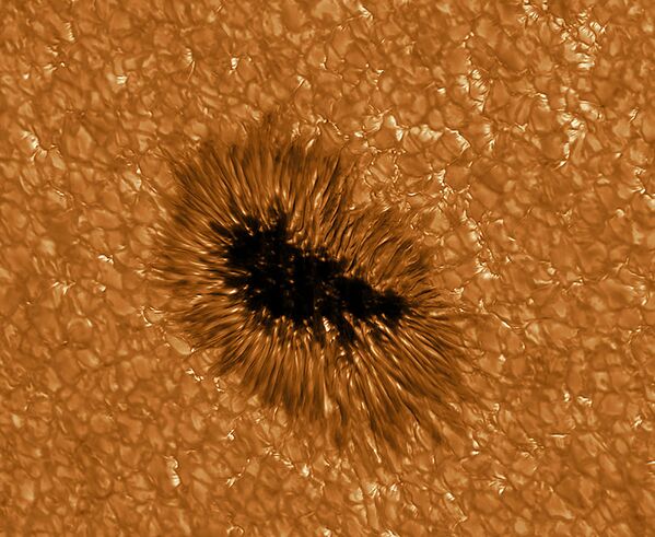 یک لکه خورشیدی با وضوح بالا توسط تلسکوپ گرگور در طول موج 430 نانومتر دیده شده است - اسپوتنیک ایران  
