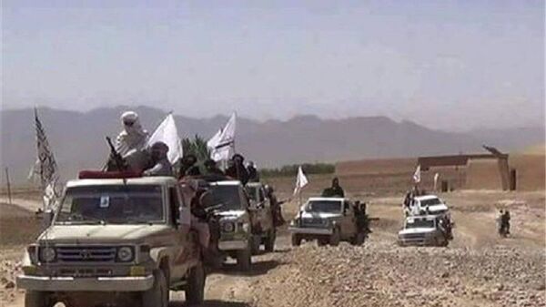حمله طالبان به دو پاسگاه در نزدیکی مرز با ایران - اسپوتنیک ایران  
