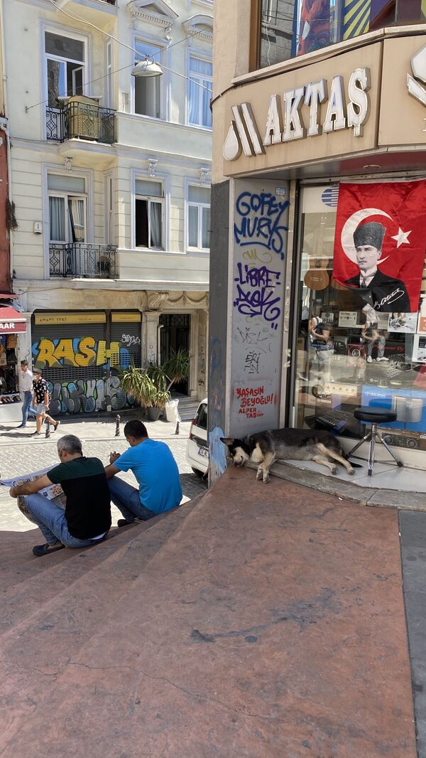 خیابانی در استانبول - اسپوتنیک ایران  