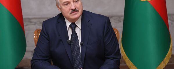 پارلمان اروپا: لوکاشنکو رئیس جمهور قانونی بلاروس نیست پارلمان اروپا: لوکاشنکو رئیس جمهور قانونی بلاروس نیست - اسپوتنیک ایران