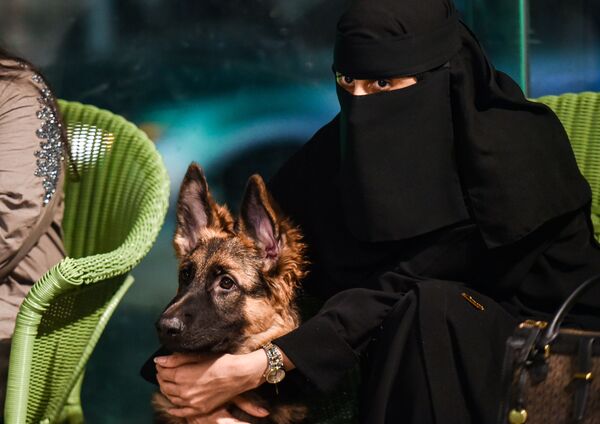 اولین کافه سگ‌ها «بارکینگ لات» در عربستان - اسپوتنیک ایران  