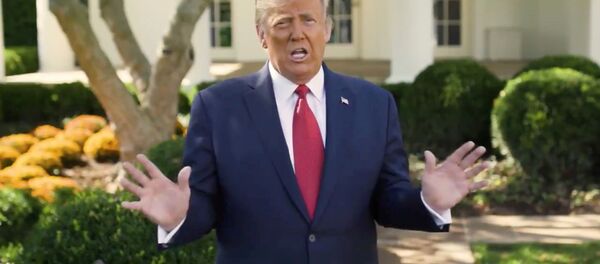 ترامپ جایگاه سیاسی ماکرون را به نخست وزیری تنزل داد ترامپ جایگاه سیاسی ماکرون را به نخست وزیری تنزل داد - اسپوتنیک ایران