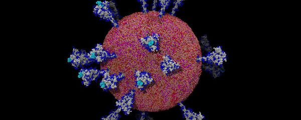 مقام ایرانی: آمریکا و کرونا با یکدیگر پیمان استراتژیک برای نابودی انسانها بسته اند - اسپوتنیک ایران  