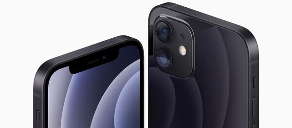 می دانید عیب اصلی آیفون جدید چیست؟ - اسپوتنیک ایران  