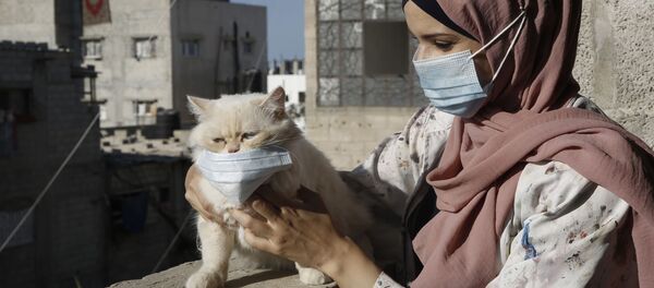 روش های شناسایی ابتلای بدون علامت به کرونا اعلام شد  - اسپوتنیک ایران  