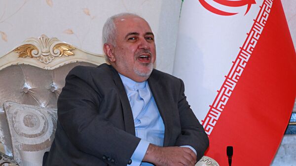 دیدار ظریف و هماهنگ کننده کمیسیون مشترک برجام در تهران - اسپوتنیک ایران  