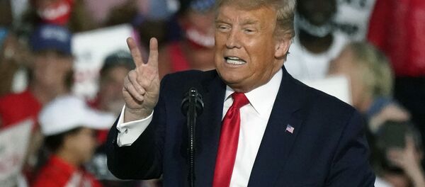 رئیس جمهورآمریکا : اگر در انتخابات ببازم، شاید مجبور شوم کشور را ترک کنم رئیس جمهورآمریکا : اگر در انتخابات ببازم، شاید مجبور شوم کشور را ترک کنم - اسپوتنیک ایران