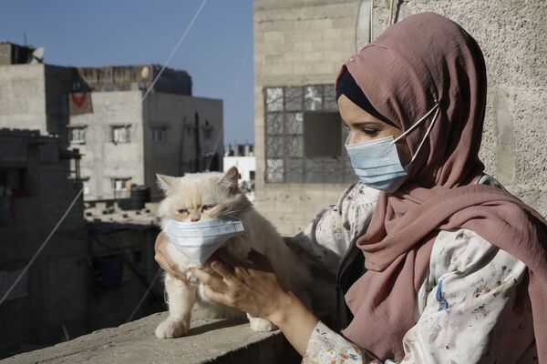 هنرمند فلسطینی با گربه اش در جنوب غزه - اسپوتنیک ایران  