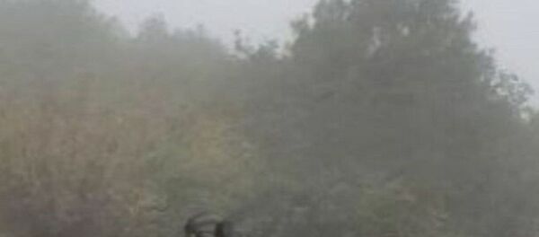 اصابت راکت های جنگ قره باغ به نقاط مسکونی مرزی ایران ادامه دارد - اسپوتنیک ایران  