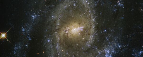 ثبت بزرگترین عکس از جهان
ثبت بزرگترین عکس از جهان
- اسپوتنیک ایران