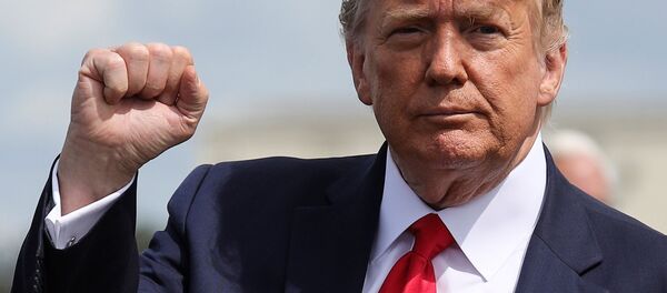 دونالد ترامپ دونالد ترامپ - اسپوتنیک ایران