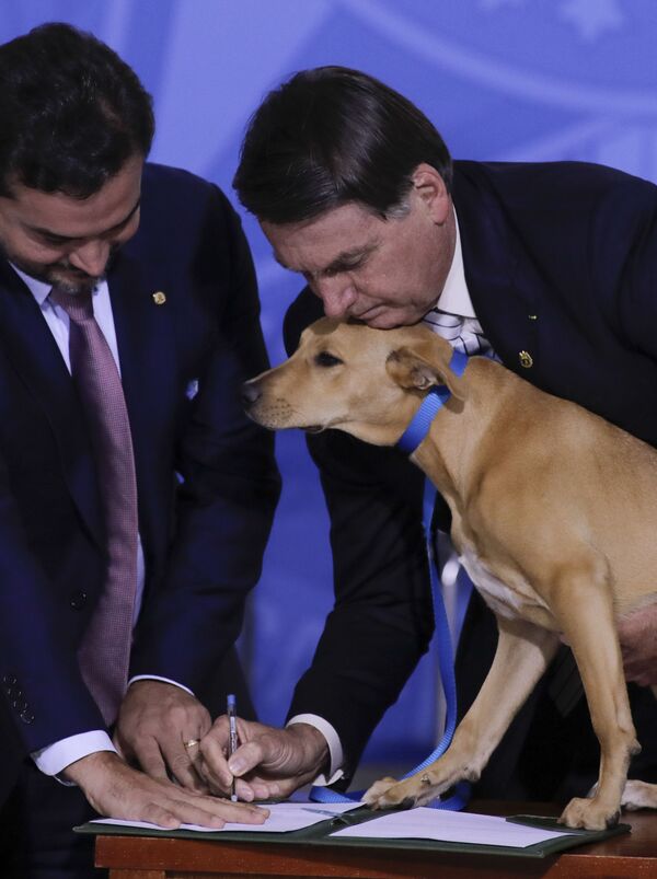رئیس جمهور برزیل با سگش در حال امضاء - اسپوتنیک ایران  