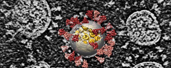 ویروس کرونا - اسپوتنیک ایران  