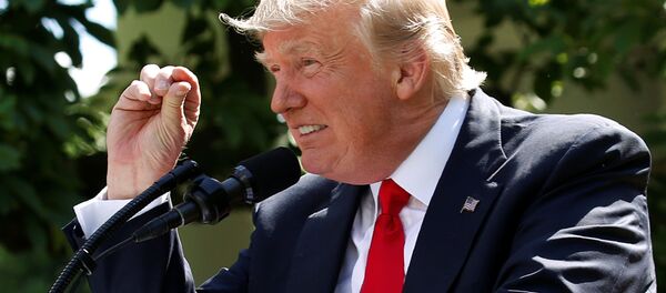 ترامپ خواهان بازگشت نيروهاي نظامي امريکايي تا ماه مه 2021 از افغانستان و عراق شد ترامپ خواهان بازگشت نيروهاي نظامي امريکايي تا ماه مه 2021 از افغانستان و عراق شد - اسپوتنیک ایران