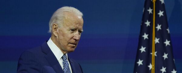 سیاستمدار با تجربه آمریکایی : بایدن بازگشت به برجام را در اولویت دارد سیاستمدار با تجربه آمریکایی : بایدن بازگشت به برجام را در اولویت دارد - اسپوتنیک ایران