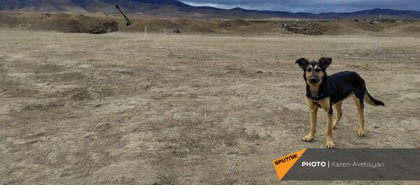 واحد توپخانه عسکران پس از پایان درگیری ها واحد توپخانه عسکران پس از پایان درگیری ها - اسپوتنیک ایران