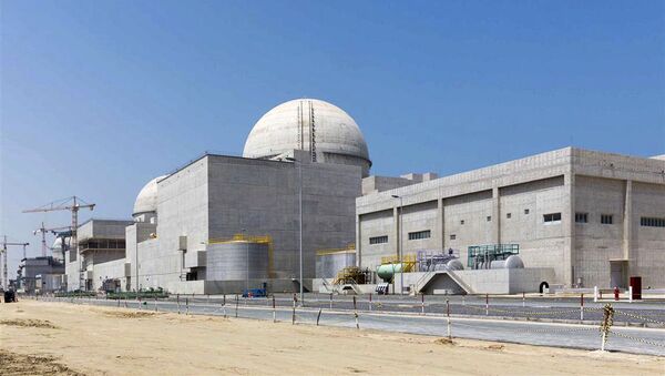 راکتور هسته‌ای امارات متحده عربی به ۸۰ درصد ظرفیت تولیدی خود رسید - اسپوتنیک ایران  
