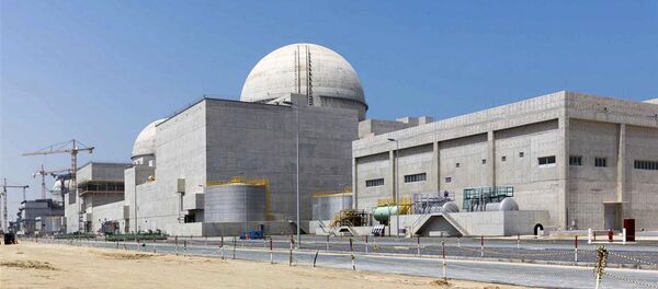 راکتور هسته‌ای امارات متحده عربی به ۸۰ درصد ظرفیت تولیدی خود رسید - اسپوتنیک ایران  