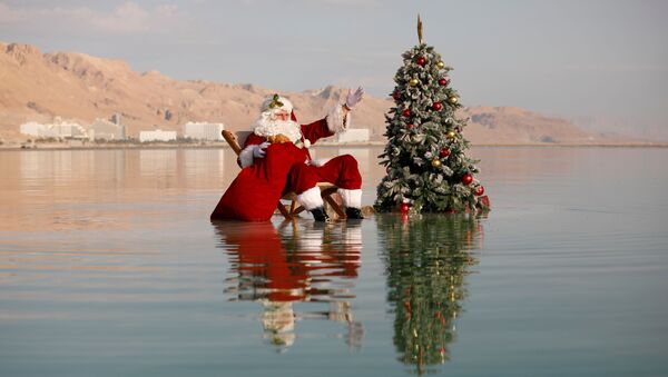 بابانویلی که به تنهایی کریسمس را جشن می گیرد - اسپوتنیک ایران  